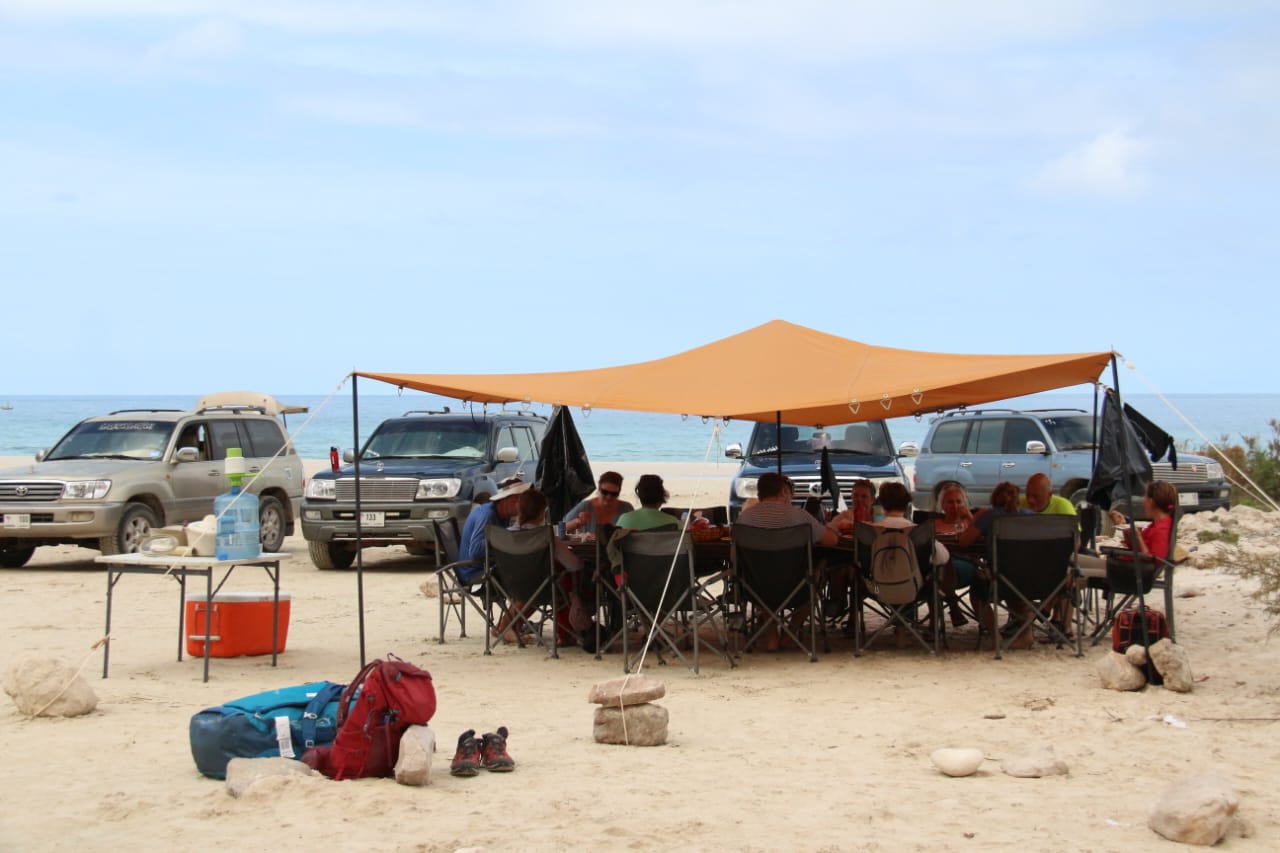 <p>Viaggio a Socotra</p>